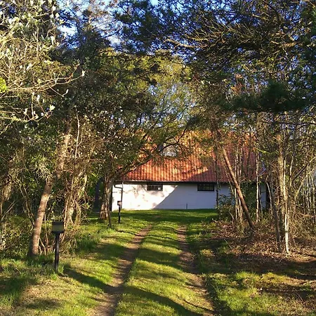 別荘 Summer House For The Big Family Close To The Fjord